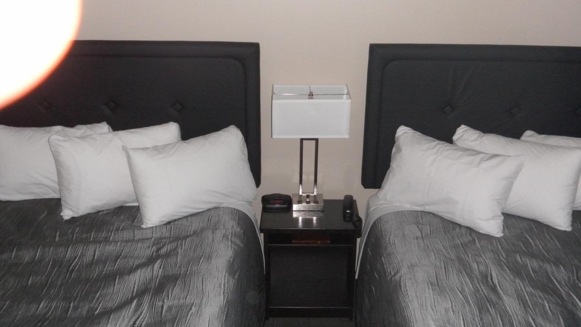 Stampeder Inn Ponoka Værelse billede